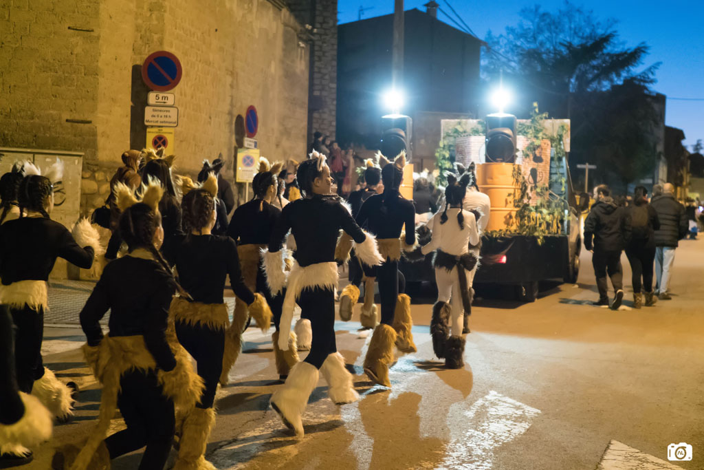 Rua de Carnaval de Sant Celoni 2018 - Foto 62717305