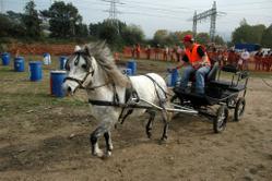 Concurs d'Enganxalls