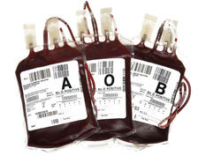 donació de sang