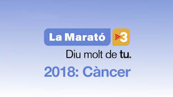 Imatge La Marató 2018