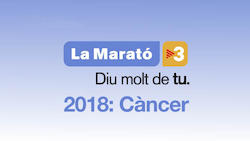 Imatge La Marató 2018 Imatge La Marató 2018