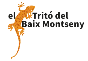 Tritó del Baix Montseny