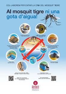 mosquit tigre