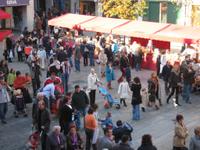 Agromercat 2006