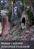 Passejades de natura