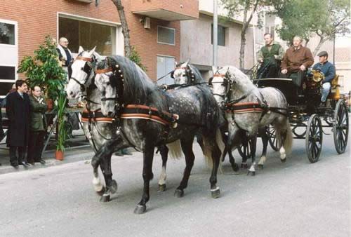 Concentració de cavalls i carruatges