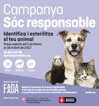 Campanya identificació i esterilització animalons