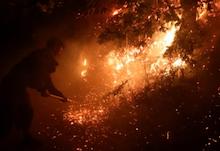 Incendis a Galícia i Portugal (foto: Vilaweb)