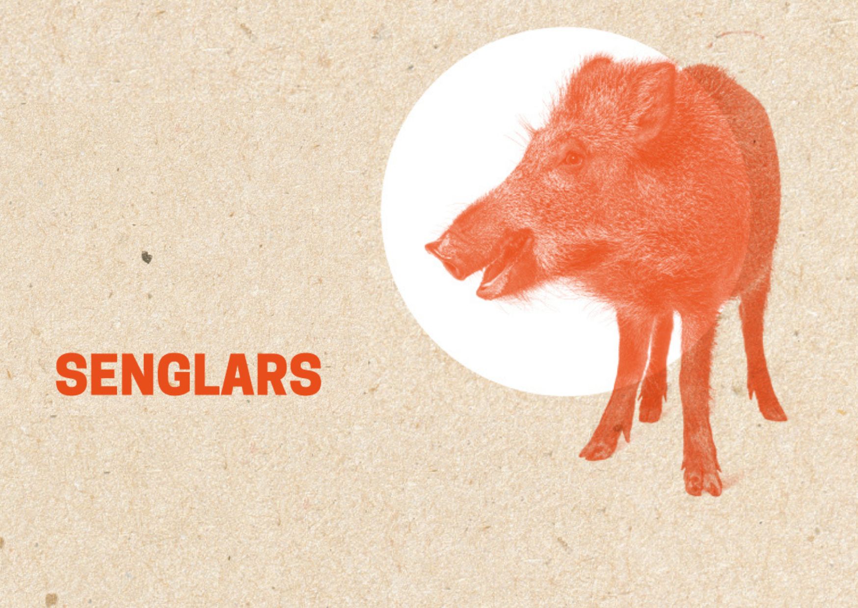 senglars petit senglars petit