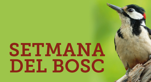 Setmana del Bosc Setmana del Bosc